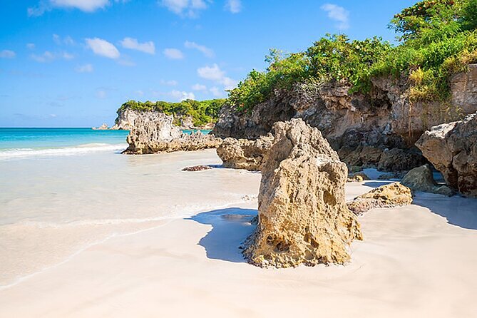 Small Group: Half-Day Cultural Tour of Punta Cana - Pickup, Small-Group Size, and the Safari Truck Reality Check