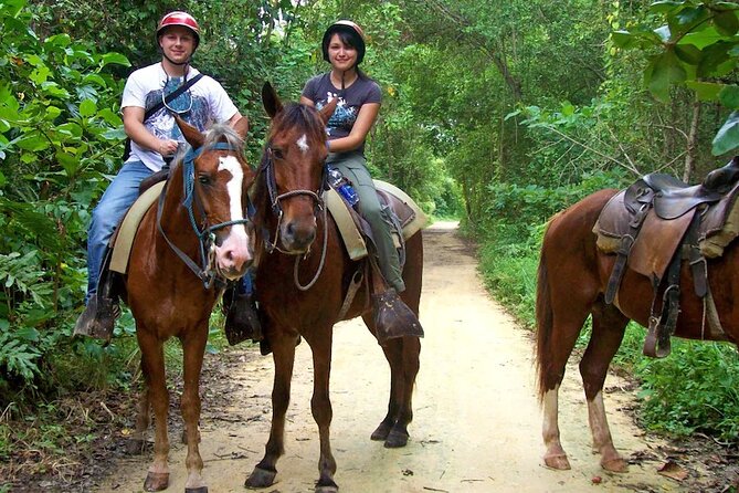 Small Group: Half Day Punta Cana Cultural Tour - Price and timing: what $68 buys you in real time