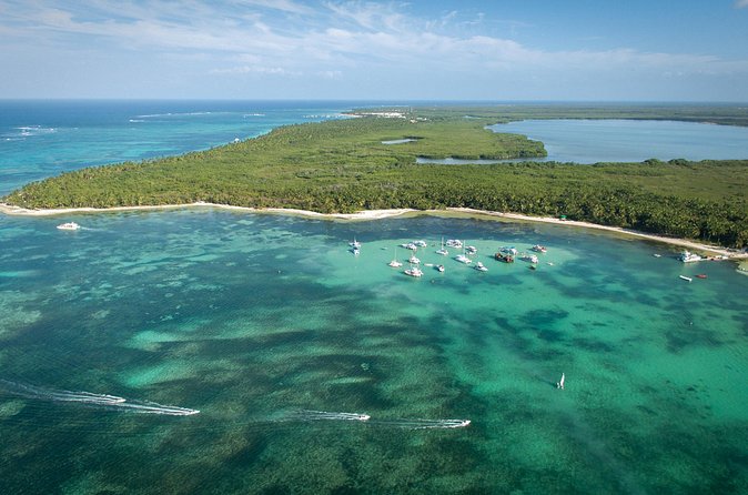 Small Group Punta Cana Snorkeling with Premium Open Bar - Who should book this small-group Punta Cana snorkeling tour?