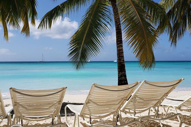 Small Group: Saona Island Full Day Tour - Getting There: Pickup Options and the Bavaro Meeting Point