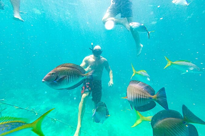 Snorkel Lovers for All Ages & Premium Seafood Lunch in Punta Cana - Group Size, Pace, and Who This Tour Works Best For