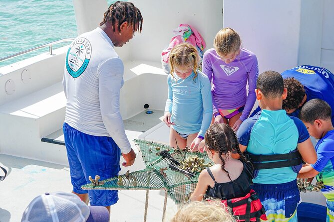 Snorkel Lovers for All Ages & Premium Seafood Lunch in Punta Cana - Natural Pool Snorkeling: Shallow-Water Confidence First