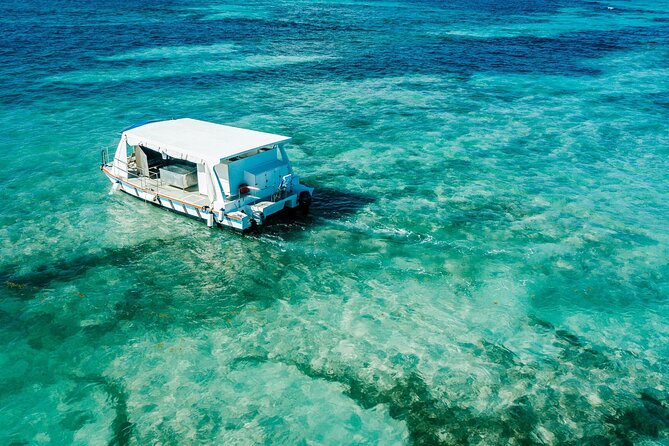 Snorkeling and Swimming on a Caribbean Cruise by Sharky Catamarans - The food and drinks: open bar plus hot lunch on the water