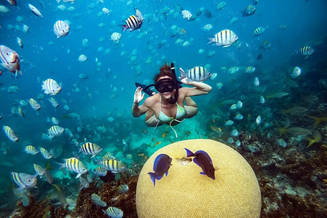 Snorkeling and Swimming on a Caribbean Cruise by Sharky Catamarans - Group size, pickup, and the flow of your day