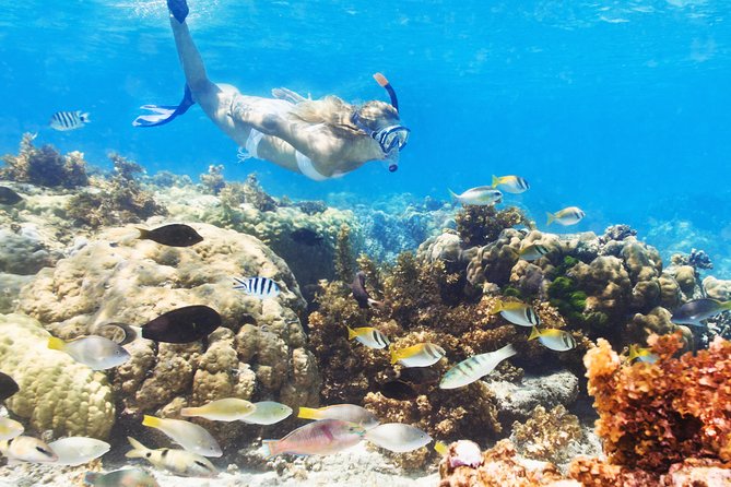 Snuba Snorkelking Parasailing and Catamaran Pack - Key Things That Make This Tour a Real Day on the Water