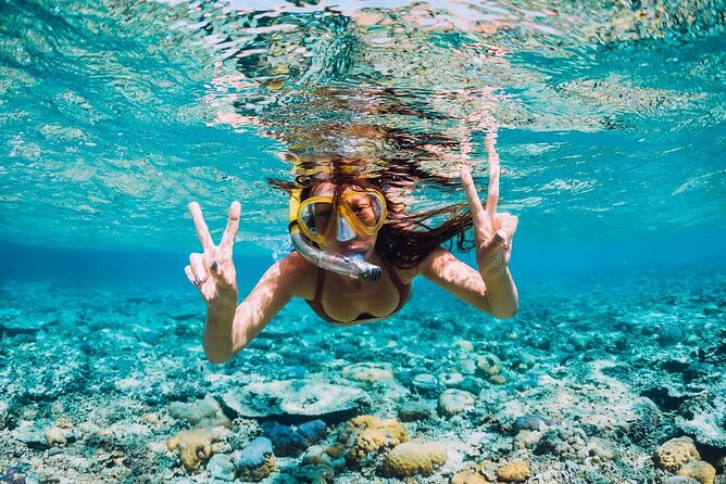 Speed Boat Activity with Snorkeling and Parasailing in Punta Cana - Speedboat time: thrills, rough edges, and what to watch for