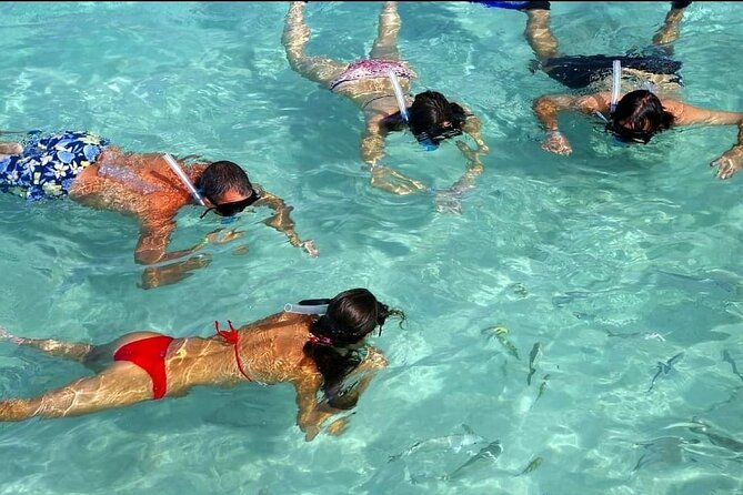 Speed Boat Ride and Snorkel Experience in Punta Cana - Onboard experience: life jackets, guides, and real driving time