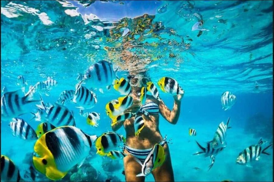 Speedboat Adventure and Snorkeling from Punta Cana - Time on the Water vs. the $80 Price Tag