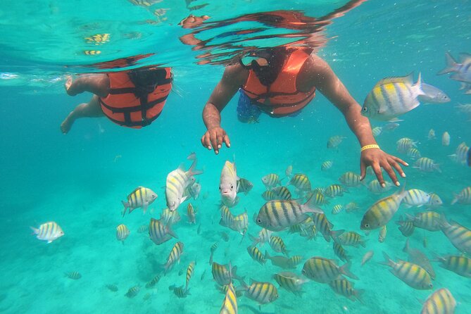 Speedboat Adventure to Snorkeling Spot and Natural Pool - Weather Matters More Than You Think