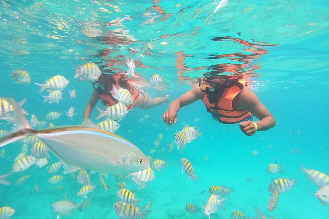 Speedboat Adventure to Snorkeling Spot and Natural Pool - Snorkeling Over Coral: What the 30 Minutes Is Really For