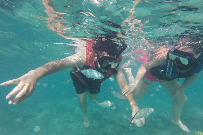 Speedboat Sailing with Snorkeling Experience in Punta Cana - Snorkel Spots Over the Bavaro Reef: How to Get More From Short Stops