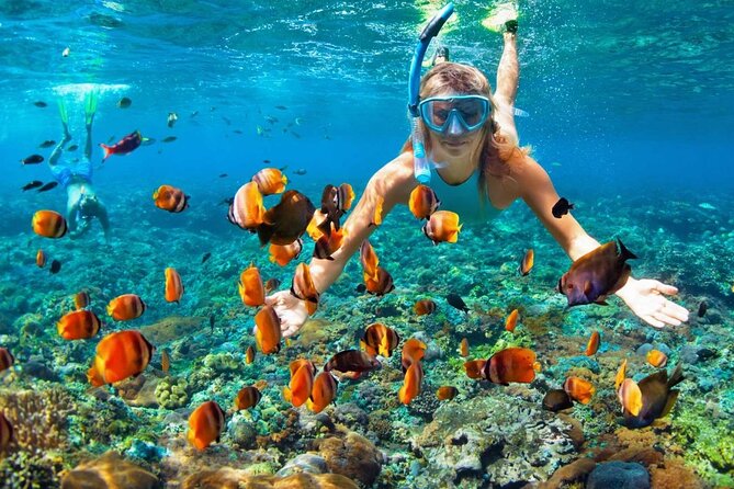 Speedboat & Snorkeling from Punta Cana - Speedboat and snorkeling from Punta Cana: why this combo is so easy