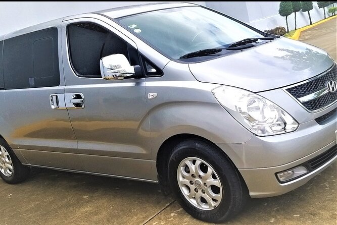 Standard and premium private transfer from punta cana airport to uvero alto - Meeting Your Driver at Punta Cana International Airport