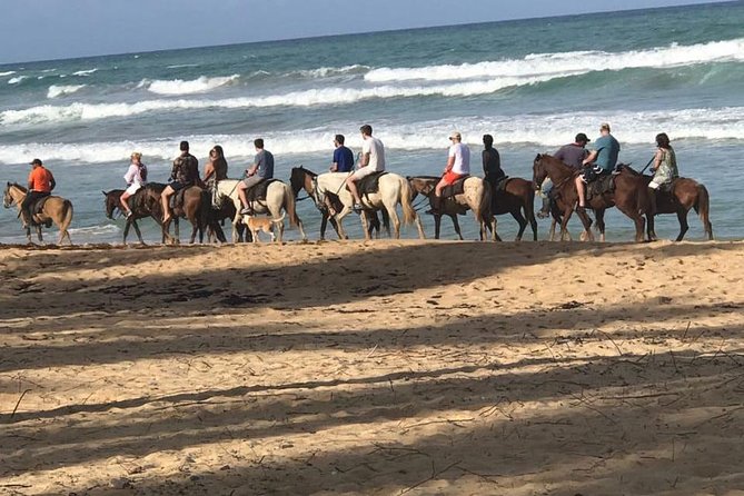 Sunset beach horsebackriding Punta Cana - Key points before you go