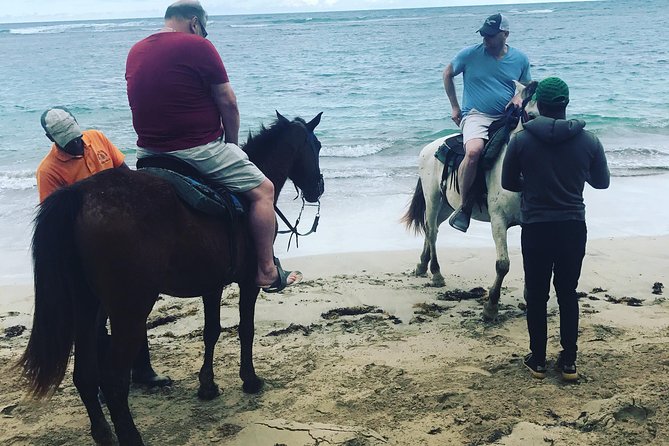 Sunset beach horsebackriding Punta Cana - Safety, trail conditions, and the reality check on mosquitoes