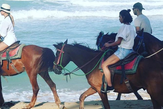 Sunset beach horsebackriding Punta Cana - Price and value: is $57.15 per person worth it?