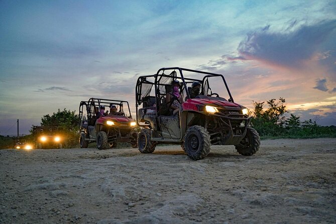Sunset Buggies Adventure with Dinner from Punta Cana - Dinner, open bar, and the bonfire-night entertainment