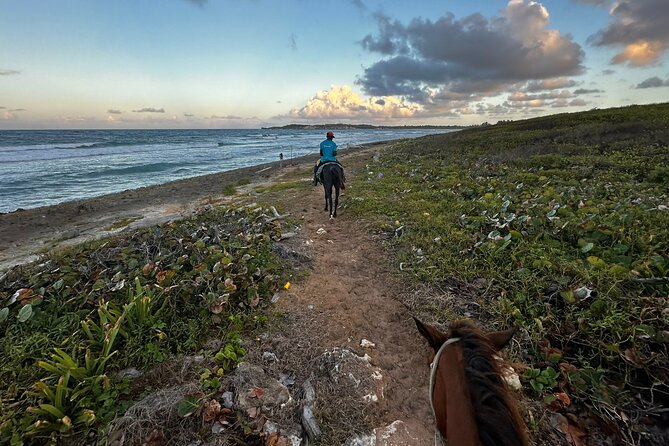 Sunset Horseback Ride at Macao Beach & Forest with Transfers - Rio Maimon River Stop: A Freshwater Pause Before Sunset Turns to Night