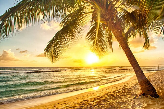 Sunset Horseback Ride at Macao Beach & Forest with Transfers - Timing and Duration: How the Whole Ride Adds Up