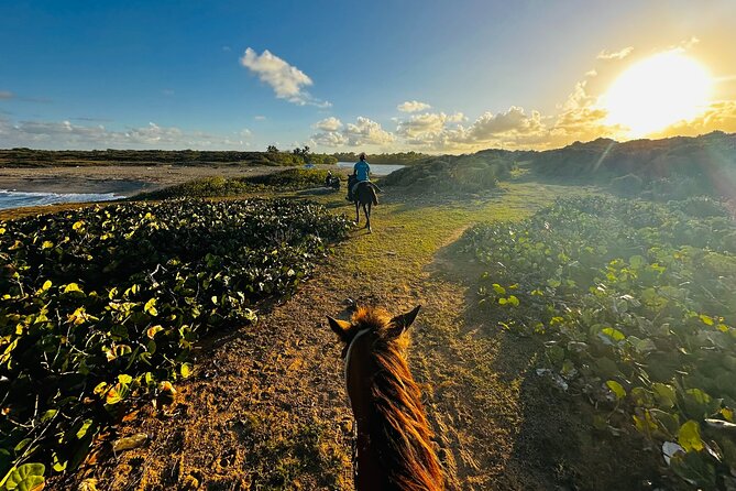 Sunset Horseback Ride at Macao Beach & Forest with Transfers - Transfers and a 4:30 pm Start: Why Logistics Matter Here