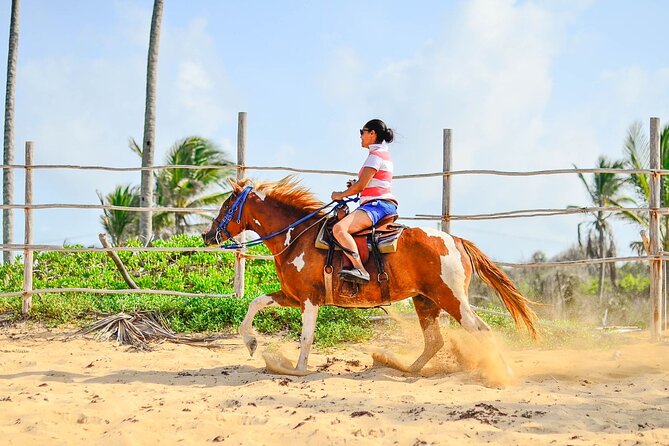 Sunset Horseback Riding Tour in Punta Cana (Private Option) - A sunset ride that mixes wildlife vibes with real beach time