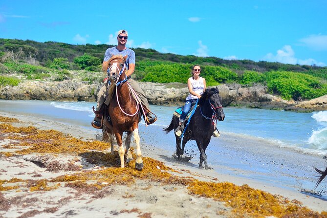 Sunset Horseback Riding Tour in Punta Cana (Private Option) - Horses and safety: what you should notice when you arrive