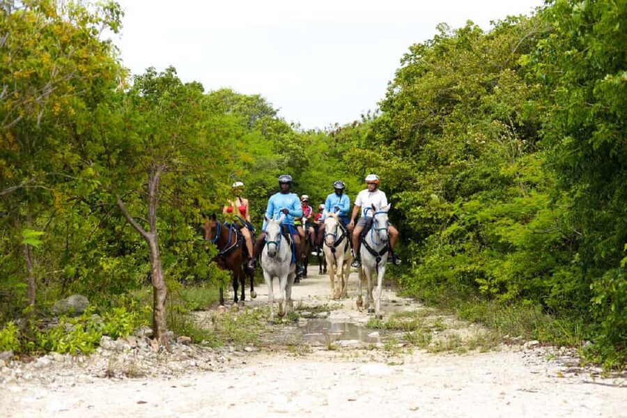 Swim Horse fom Punta Cana - Key Things That Make This Punta Cana Horse-and-Sea Tour Work