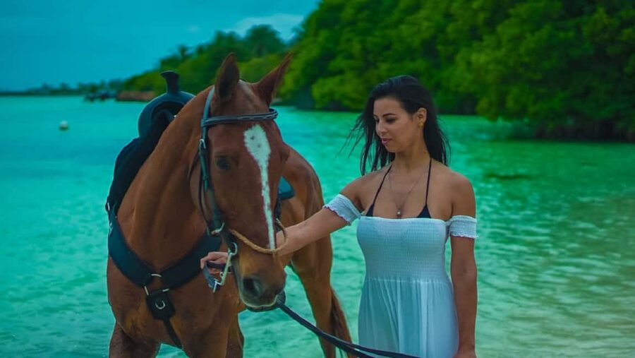 Swim Horse fom Punta Cana - Why Swimming With Horses in Punta Cana Feels So Special