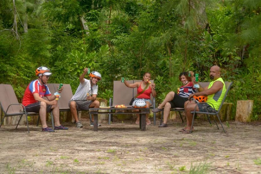 Swim Horse fom Punta Cana - Snack Time in Mangroves Plus the Taíno Story You’ll Remember