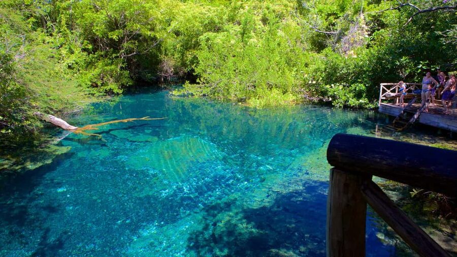 Swim Horse fom Punta Cana - Price and Value: Is $110 for 4 Hours Worth It?