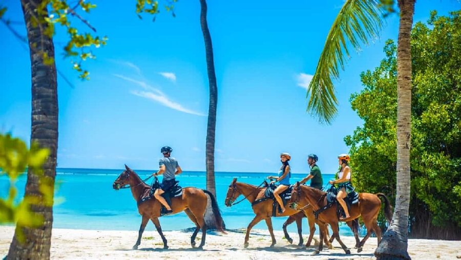 Swim Horse fom Punta Cana - Hotel Pickup and the 4-Hour Schedule That Keeps It Manageable