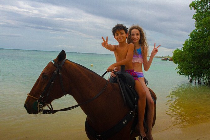 Swimming with Horses at the Beach from Punta Cana Free transportation - The swim with horses: what to expect and how long it lasts