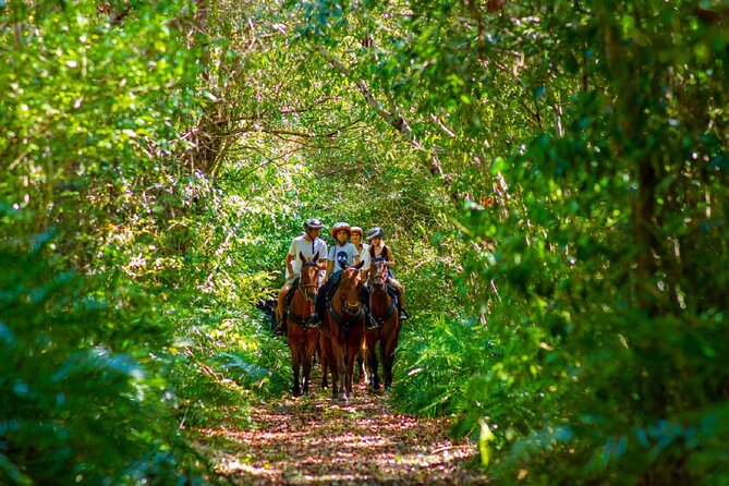 Swimming with Horses at the Beach from Punta Cana Free transportation - Rural villages and traditional food: the culture part of the day
