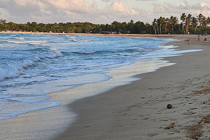 The best buggy/Atv atv punta cana - Guides, Photography, and That Family-Style Treatment
