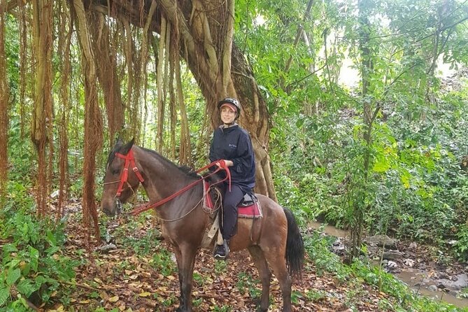 The Ultimate Dominican Horseback Riding Adventure - Ranch-Access Riding at Rancho Cana Tequila (and why it feels different)