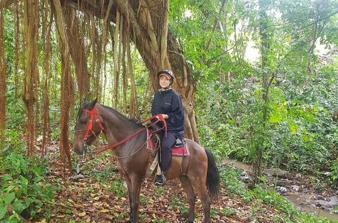 The Ultimate Dominican Horseback Riding Adventure - Cost and value: what $79 buys you in the real world