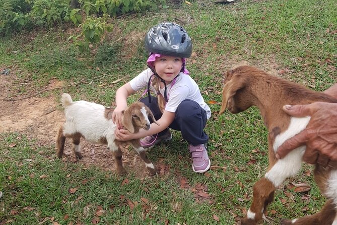 The Ultimate Dominican Horseback Riding Adventure - The 2.5-hour ride: cattle-country trailwork and that 360° payoff