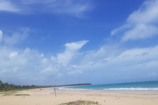 Tour to Montana Redonda and Emerald Coast Beach - The included lunch that keeps the day moving