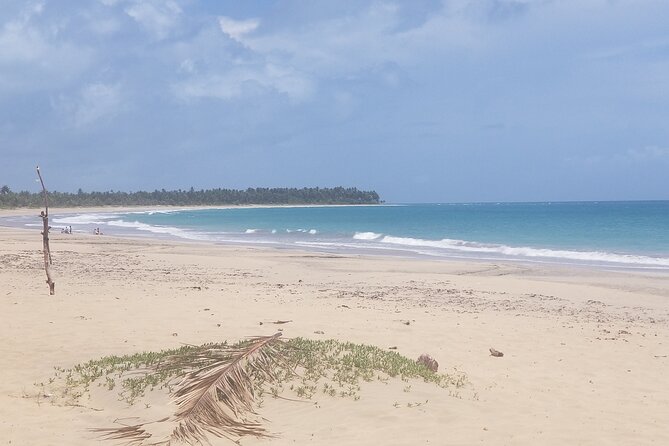 Tour to Montana Redonda and Emerald Coast Beach - Should you book this Montana Redonda and Playa Esmeralda day trip?