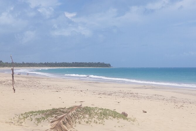 Tour to Montana Redonda (Round Montain) & Costa Esmeralda Beach - Who This Tour Fits Best (and Who Should Consider Alternatives)