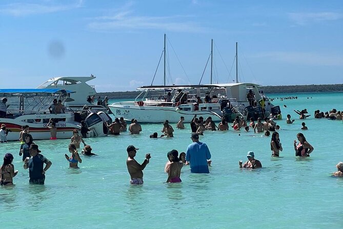 Tour to Saona Island with Lunch and Transportation - Getting to Saona Island: the Punta Cana pickup that sets the tone