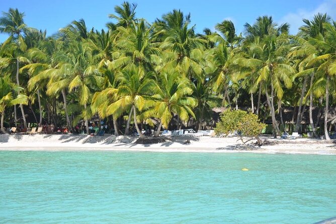 Tour to Saona Island with Lunch and Transportation - Price and value: what $75 gets you on a full Saona day