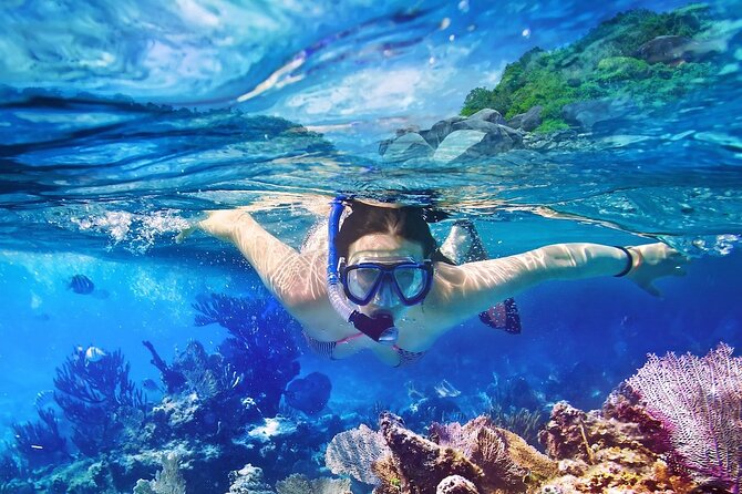 Tours to Saona Island - Key things to know before you go