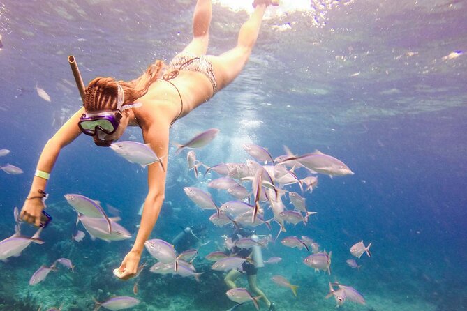 Tours to Saona Island - The Bayahíbe transfer: welcome drink, shopping stops, then boarding
