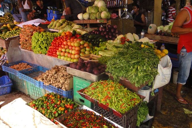 Tropical Escape Tour - Horse time plus Anamulla River: the rural side that connects to food