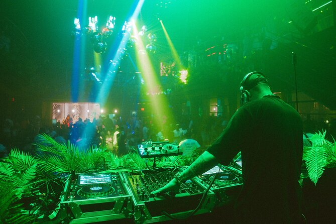 Tropicalia Disco – Party Night – Nightclub - Key things to know before you go