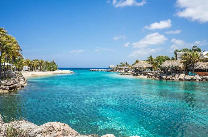 TRS Turquesa- Round Trip Shuttle - Punta Cana Airport - Return transfer: leaving Punta Cana without the stress spiral