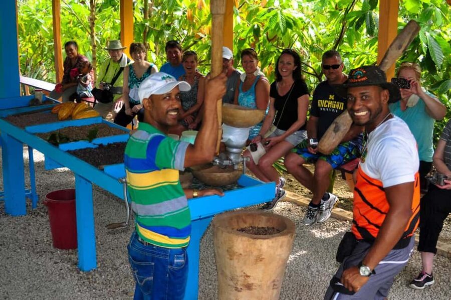 Ultimate Buggy Expedition from Punta Cana with blue cenote - Price and logistics: when $24 makes sense (and when it doesn’t)