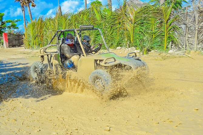 Unlimited Fun in Buggy and ATV and Horses in Punta Cana - Key highlights