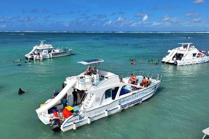 VIP Private Booze Cruise with Live Dj and BBQ in Punta Cana - Key things to know before you go